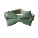 Bow Tie Collar