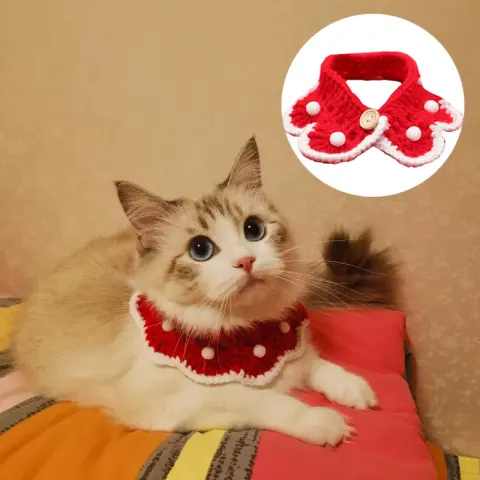 Pet Cats