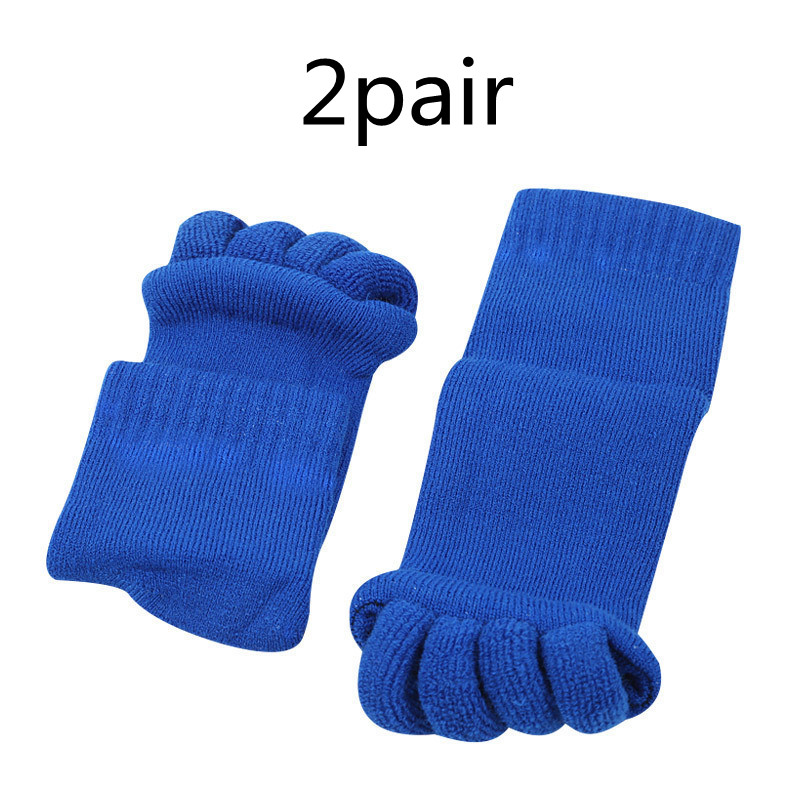 Royal Blue 2pair