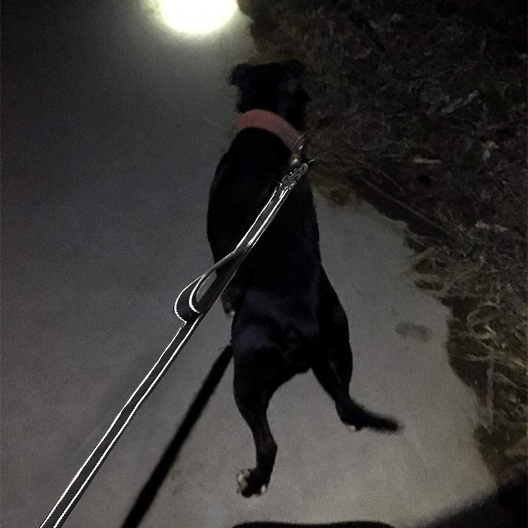 Main de chien de compagnie tenant la laisse de chien de formation de corde