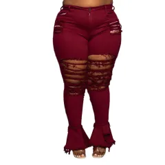 Trumpet Street Fashion Trend Ripped Plus Size Women's Jeans - Wine - View 1