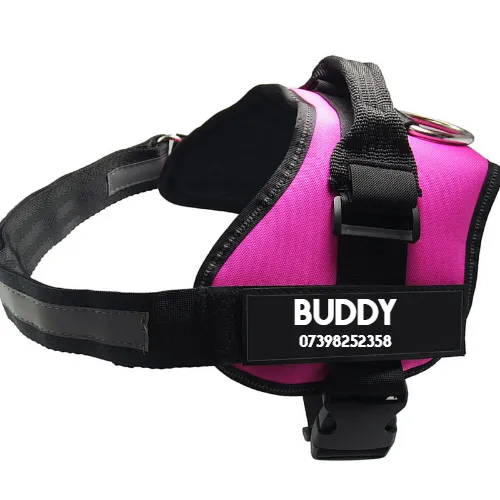 BUDDY Green - Shop at LoveMi
