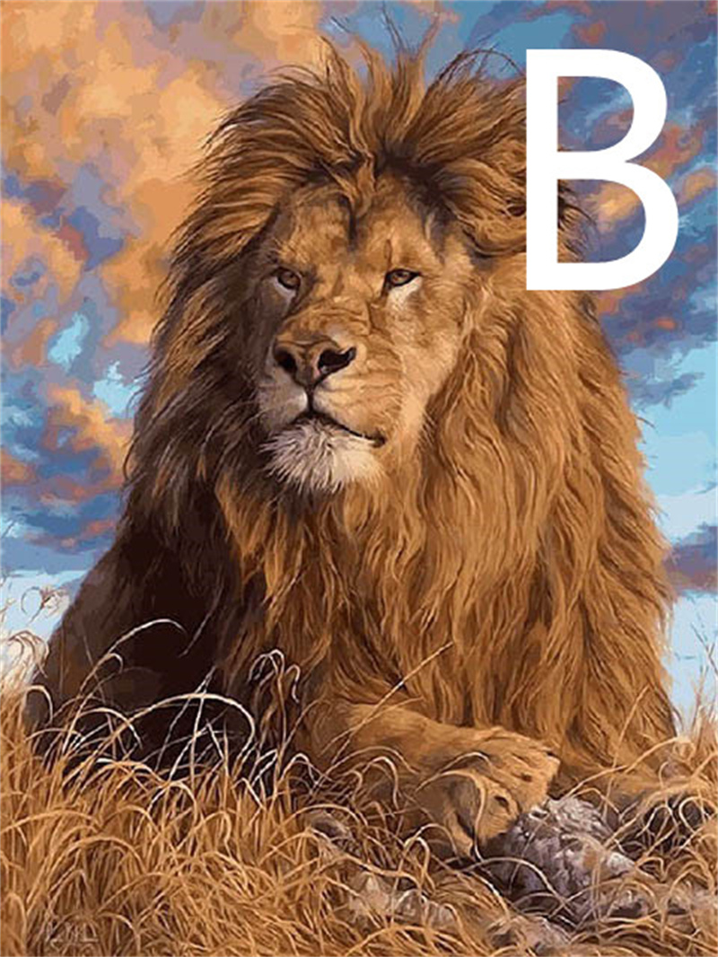 B