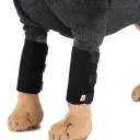Black Toe Guard