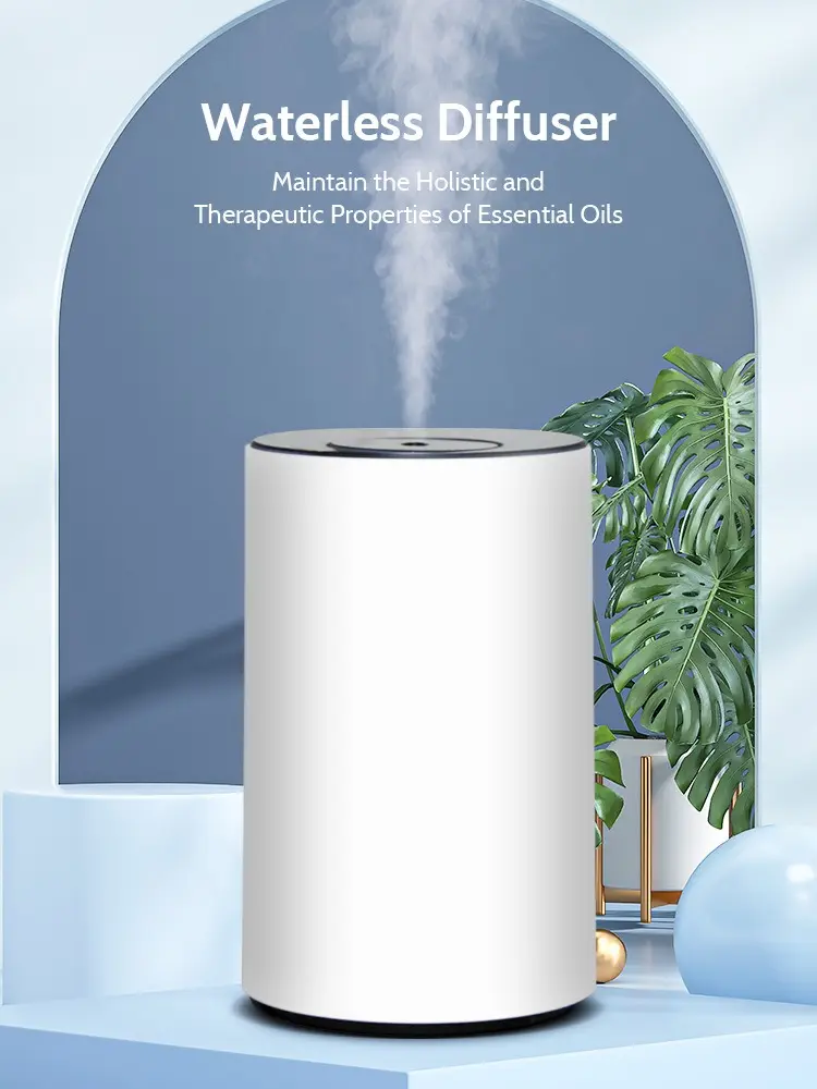 Car Air Freshener Diffuser