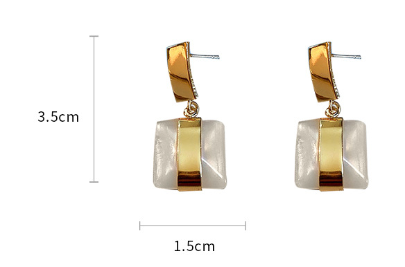 925 Silver Needle Geometric Earrings French Retro Temperament Advanced