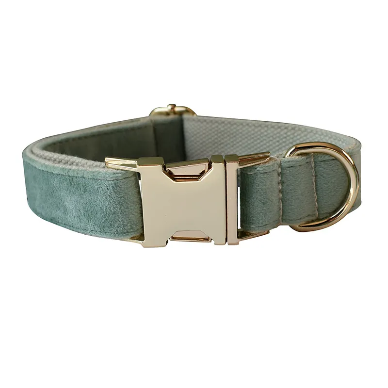 Mint Green Dog Collar Leash - Collar