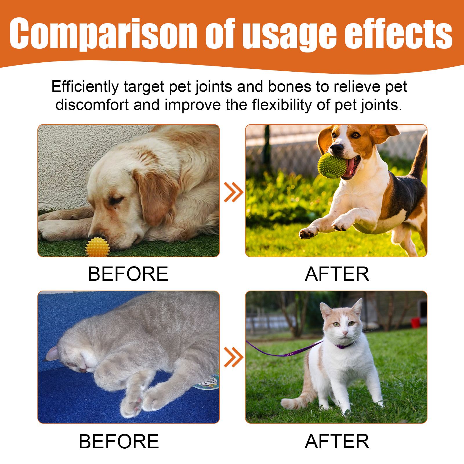 Pet Bee Joint Oil For Dogs & Cats, Joint Support Supplement Oil Relief Joint Discomfort, Improve Mobility & Repair Joint Tissue, 30ml — foto 2