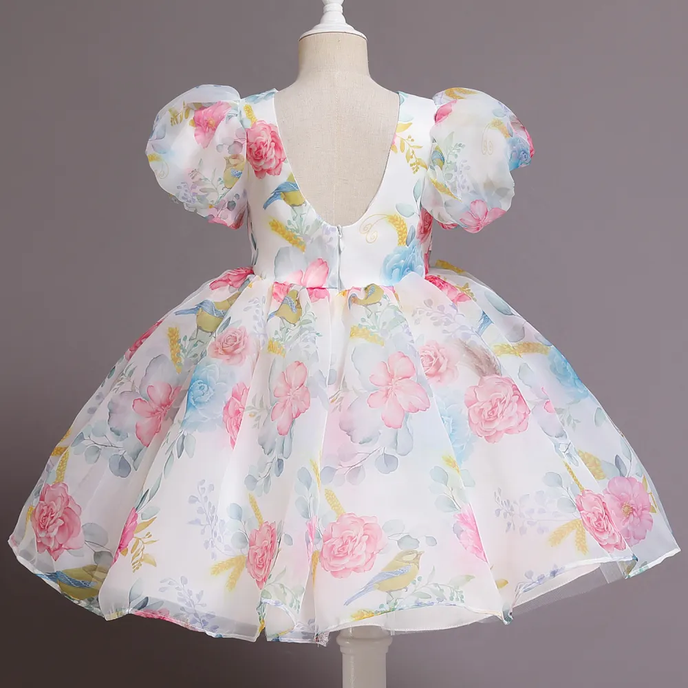 Puff Sleeve Princess Skirt Children's Floral Mesh Tutu Dress