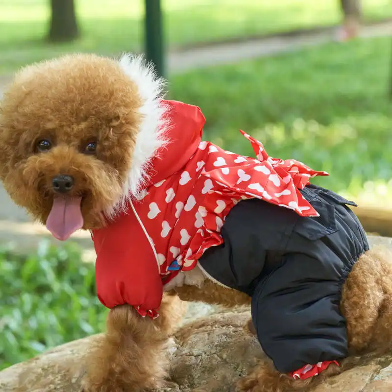 Four-Legged Winter Dog Jumpsuit with Hood and Heart Pattern