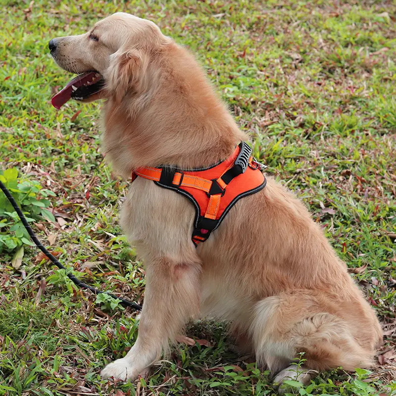 Adjustable Comfortable Dog Harness For Walking
