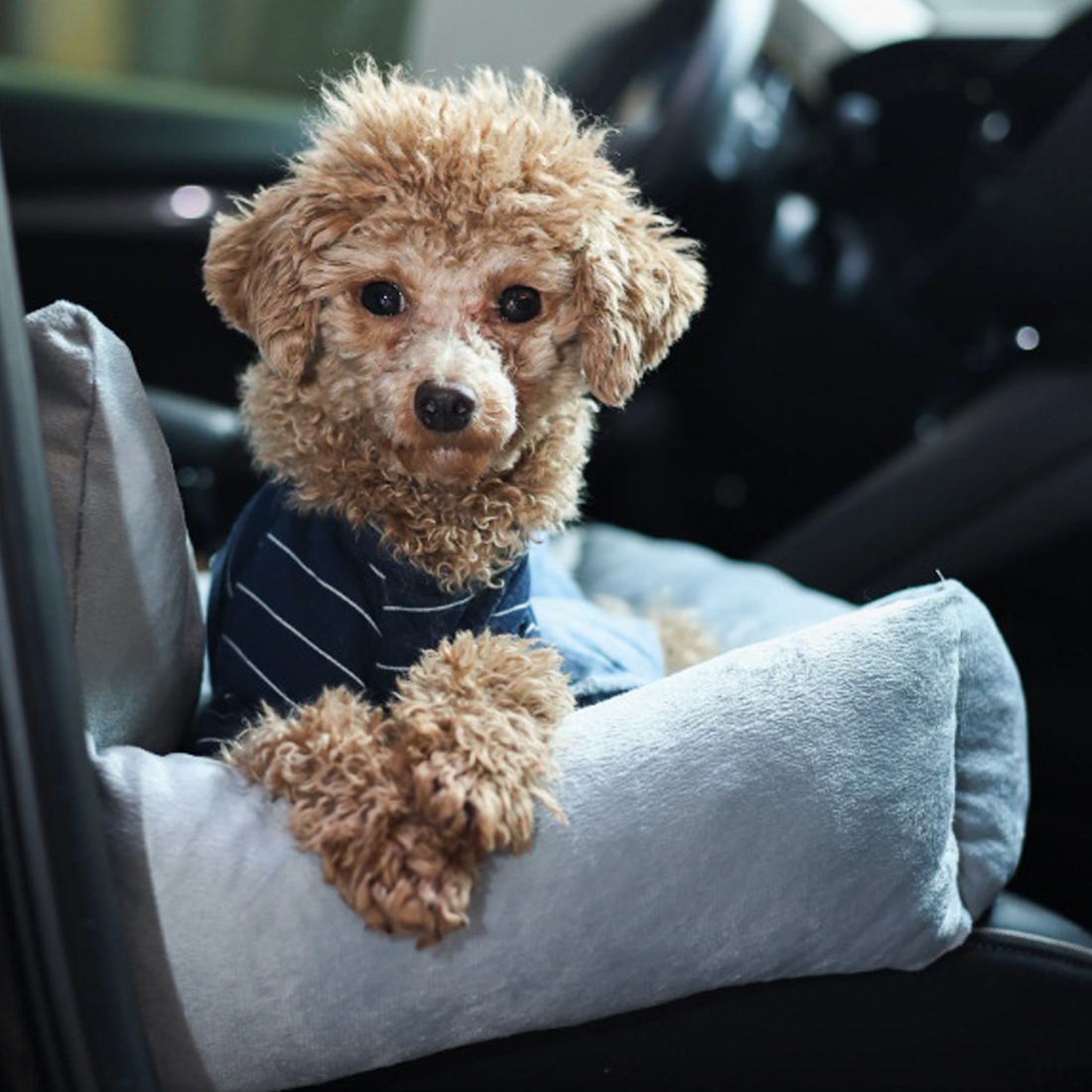 Travel Dog Bed Soft Washable Pet Puppy Cat Car Seat Cushion Comfort — image 2
