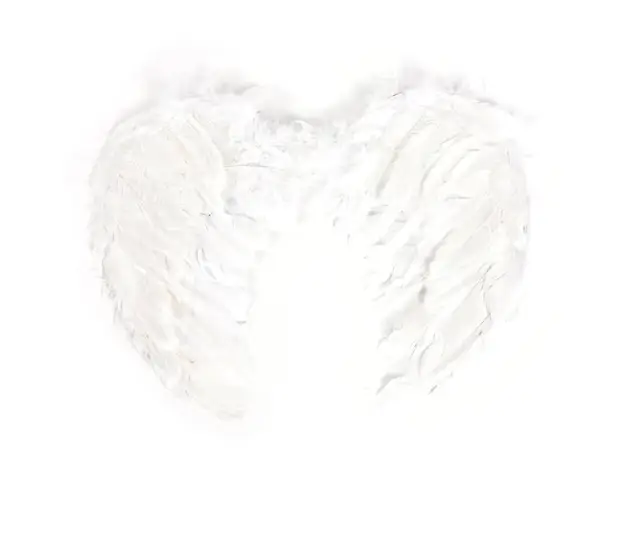 Christmas Angel Feather Wings Toy Show Props