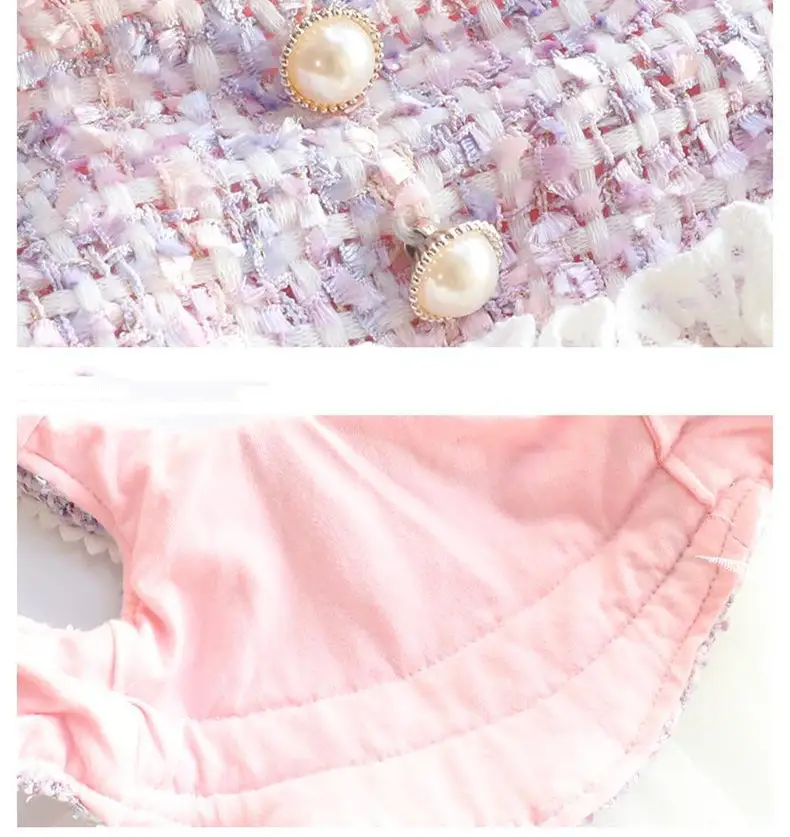 Small Fragrant Wind Lace Tutu Skirt Small Dog Teddy Pet
