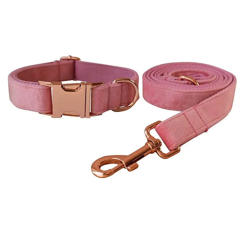 Double Layer Microfiber Rose Gold Buckle Pet Supplies Foreign Trade Pet Supplies Collar