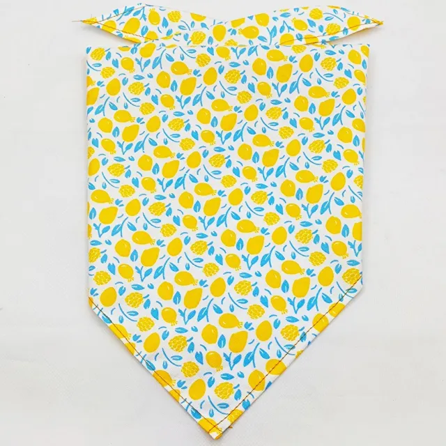 Fruit Green Leaf Pet Scarf Drool Towel Color3 - Shop at LoveMi