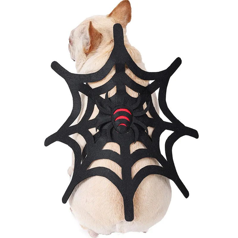 Halloween Cat Dog Spider Web Makeover - Black