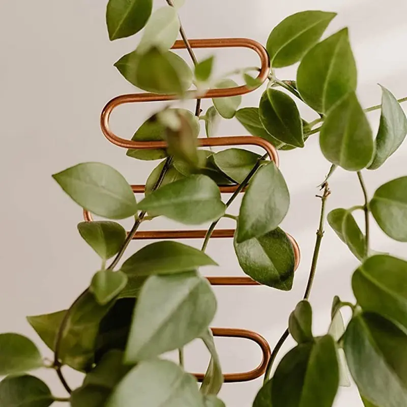 Garden Plant Climbing Support Rack Pot Holder Metal Iron