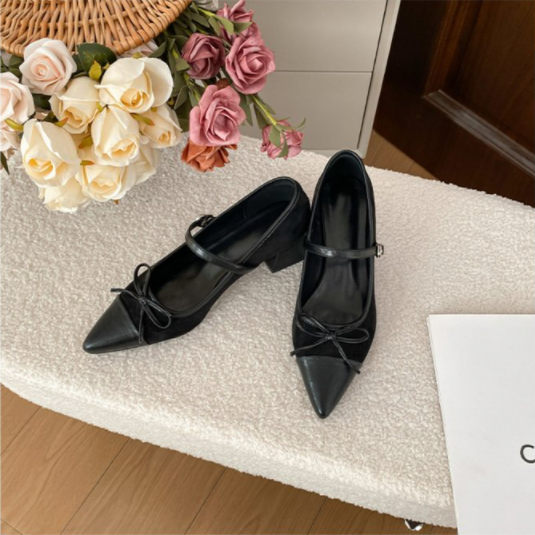 Soft Leather Version Retro French Style Chunky Heel Mary Jane Shoes Women, Autumn New Arrival Comfortable High Heel One-Strap Pointed Toe Flats