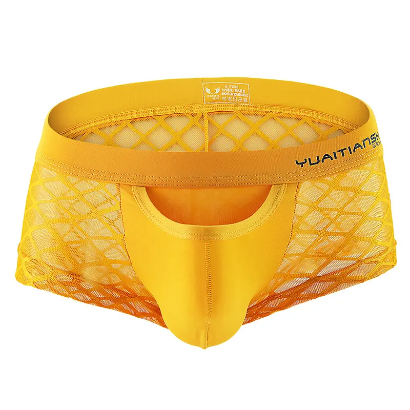 Men's Underwear Breathable Sexy Nylon Mesh Youth Boxer Briefs