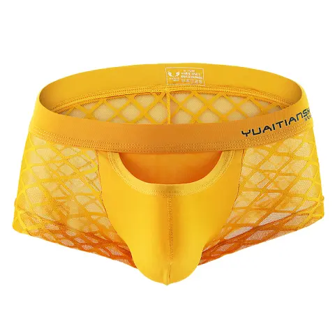 Men's Underwear Breathable Sexy Nylon Mesh Youth Boxer Briefs
