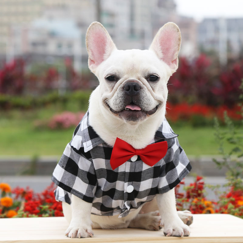 Title 3, Dog Plaid Shirt Suit Wedding Dress Method Fight...