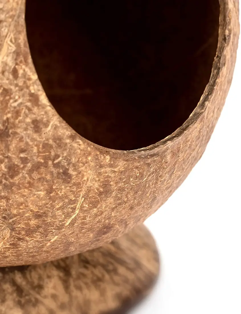 Warm Hamster Coconut Shell Nest With Base