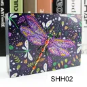 Ssh02 Dragonfly