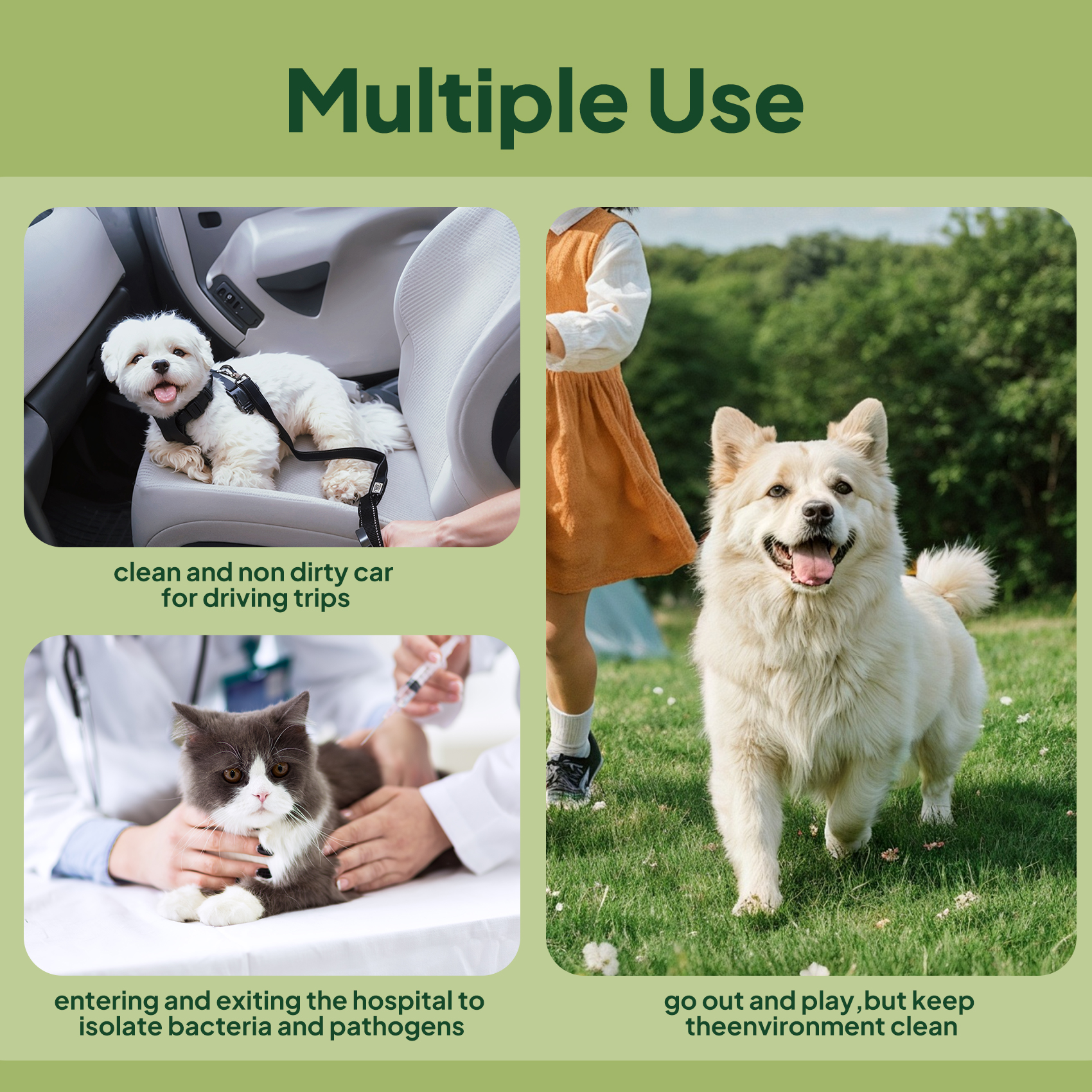 Disposable Dog Training Pads 8