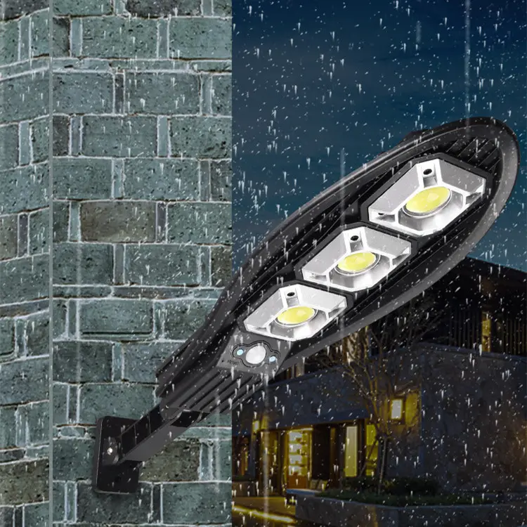 Remote Control Outdoor Solar Garden Induction LED