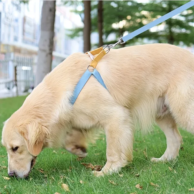 Rainbow Colorblock Pet Harness Set Anti Escape Vest Type Dog Harness Chest Leash Cotton Designer Puppy Dog Harness Set Blue - Shop at LoveMi