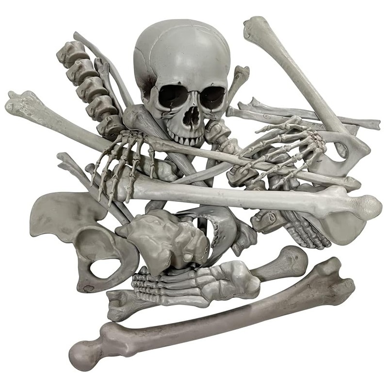 28X Bag Of Bones Human Skull Skeleton Halloween Scary