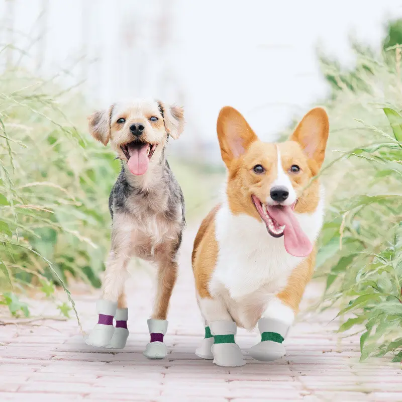Pet Disposable Shoe Cover Waterproof And Dirt
