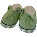Crocodile Slippers-36To37
