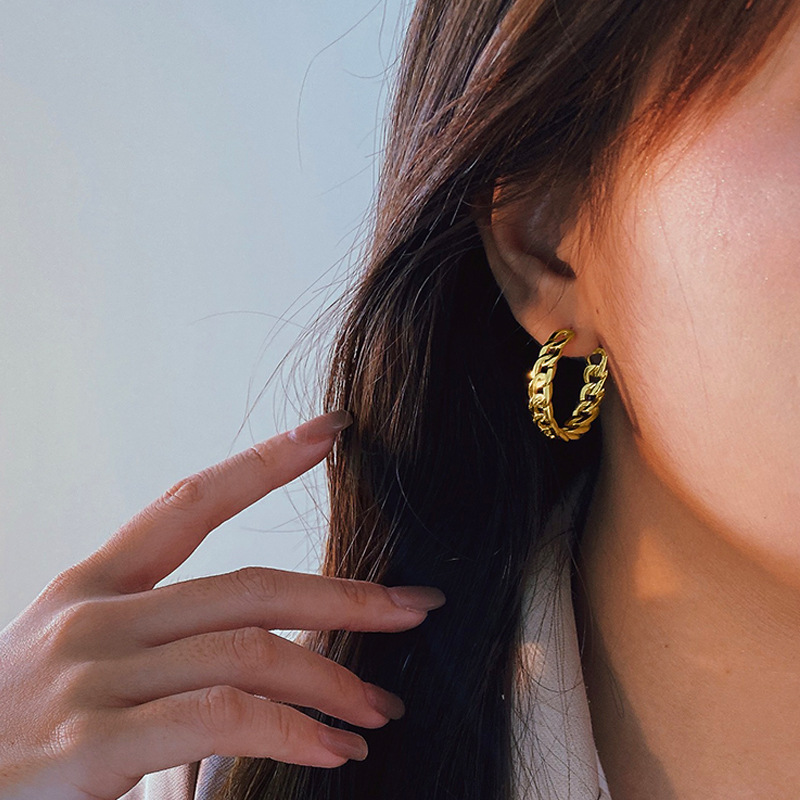 Sterling Silver Earrings Women Light Luxury Cold Wind