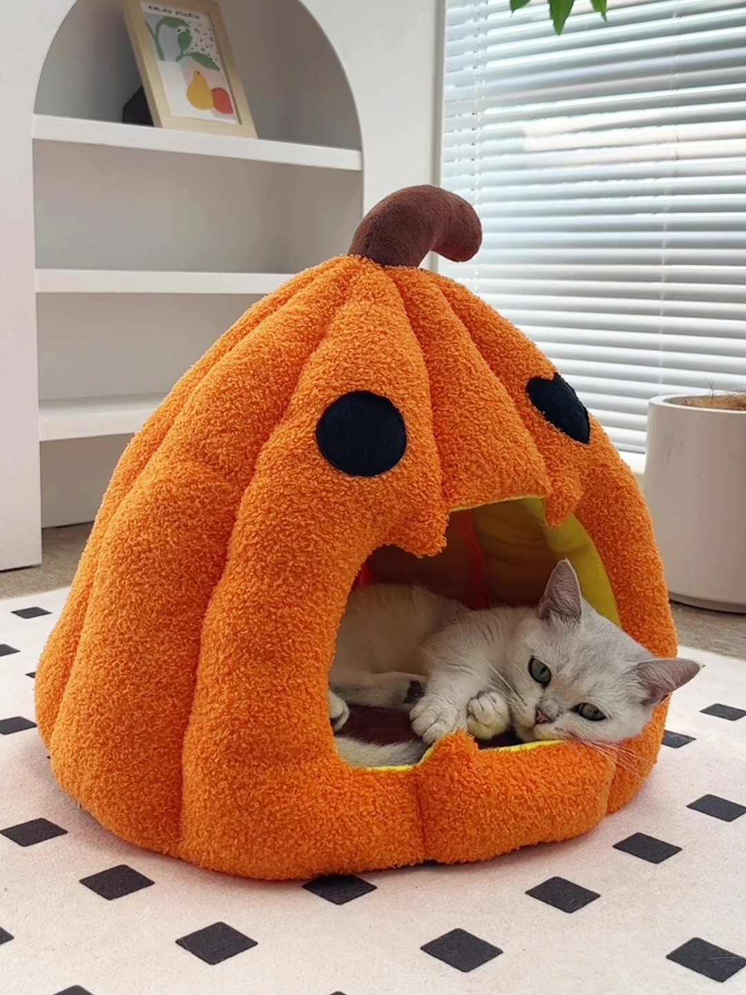 เต็นท์นอนแมวสุดน่ารัก รูปฟักทอง Halloween สำหรับสุนัขและแมว ขนาดพอดี สบายเหมือนอยู่บ้าน - ที่นอนสัตว์เลี้ยง Cozy Pet Cave
