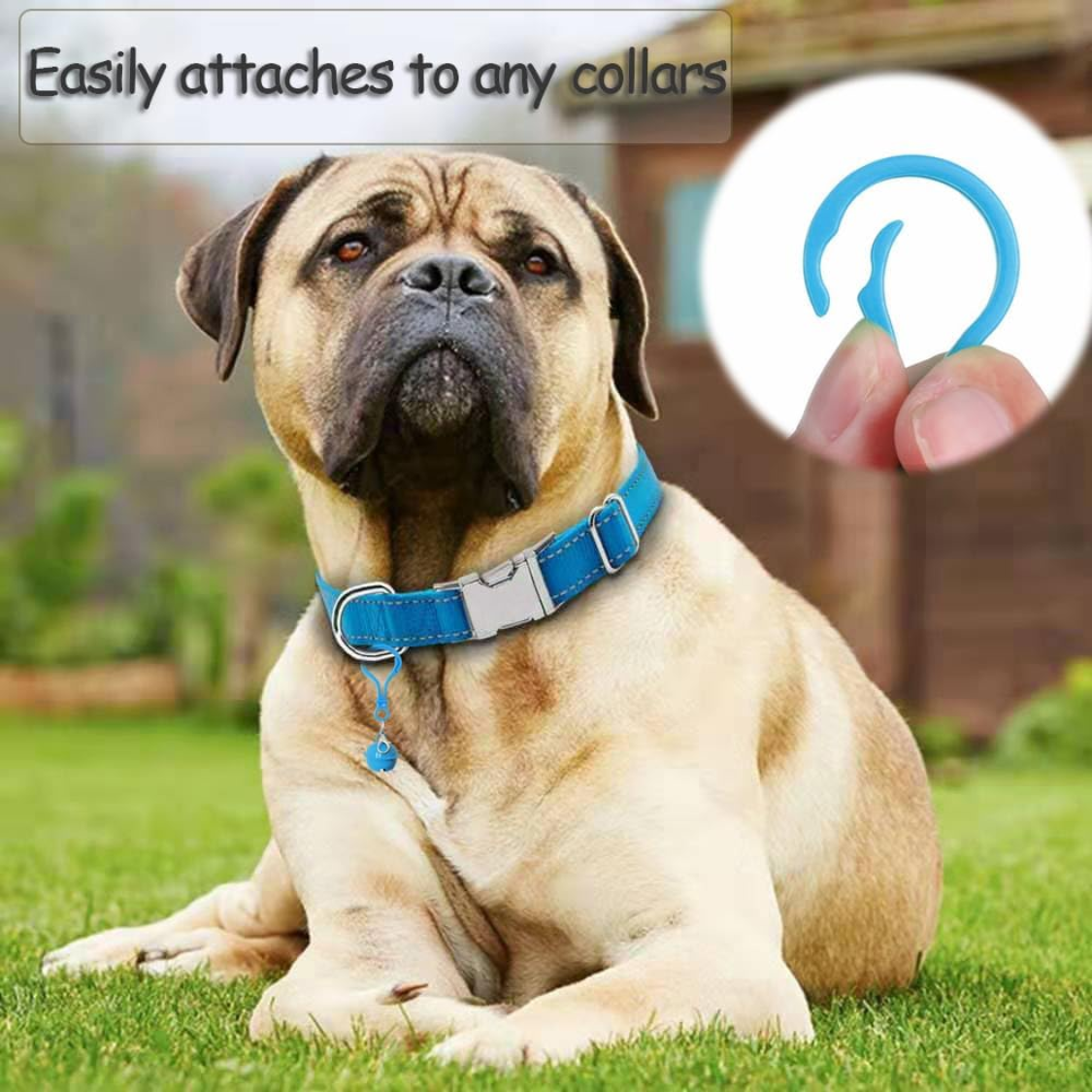 Clochettes pour chat et chien, lot de 6 grelots colorés à mousqueton