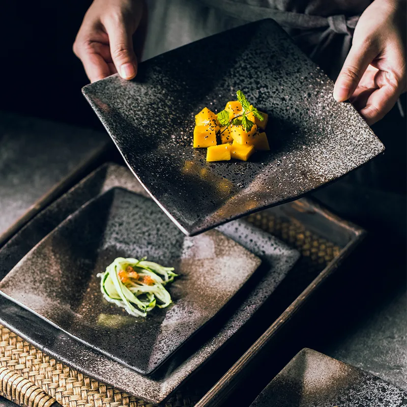 Japanese New Plate Ceramic Tableware