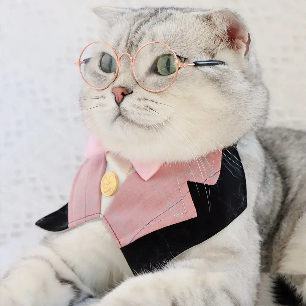 Pet Cat Dog British Academy Style Bib