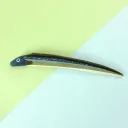 Green Eel