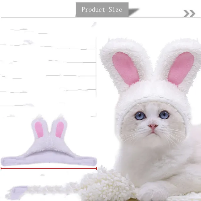 Lion Turns Into Halloween Ghost Pet White - Shop at LoveMi
