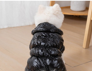 Dog down jacket black