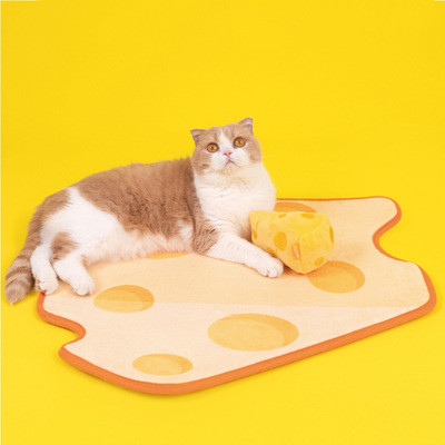 Cat And Dog Sleeping Mat Door Mat Living Room