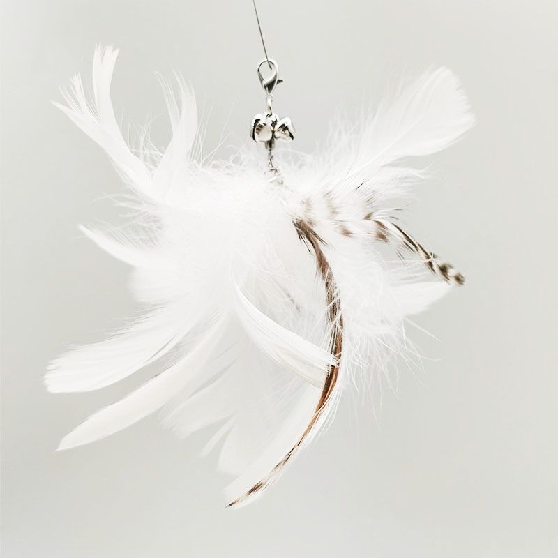 White Feather