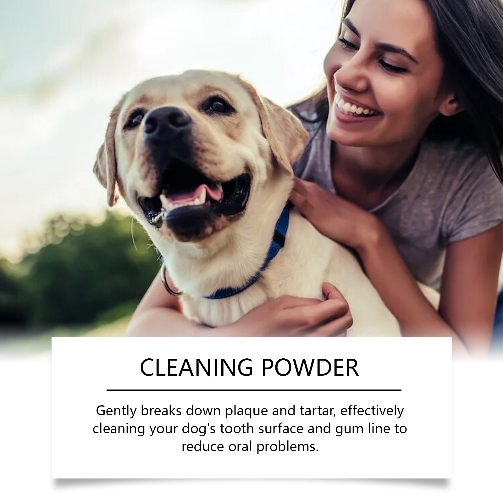 Dog Tooth Cleaning Powder 5