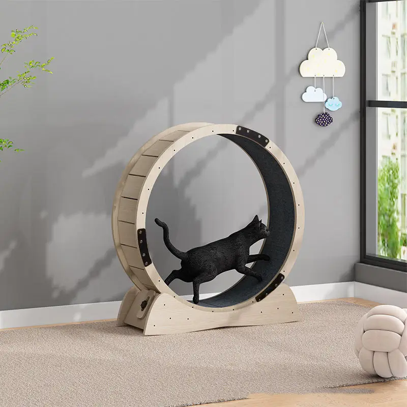 Cat Silent Treadmill Roller Large Weight Loss
