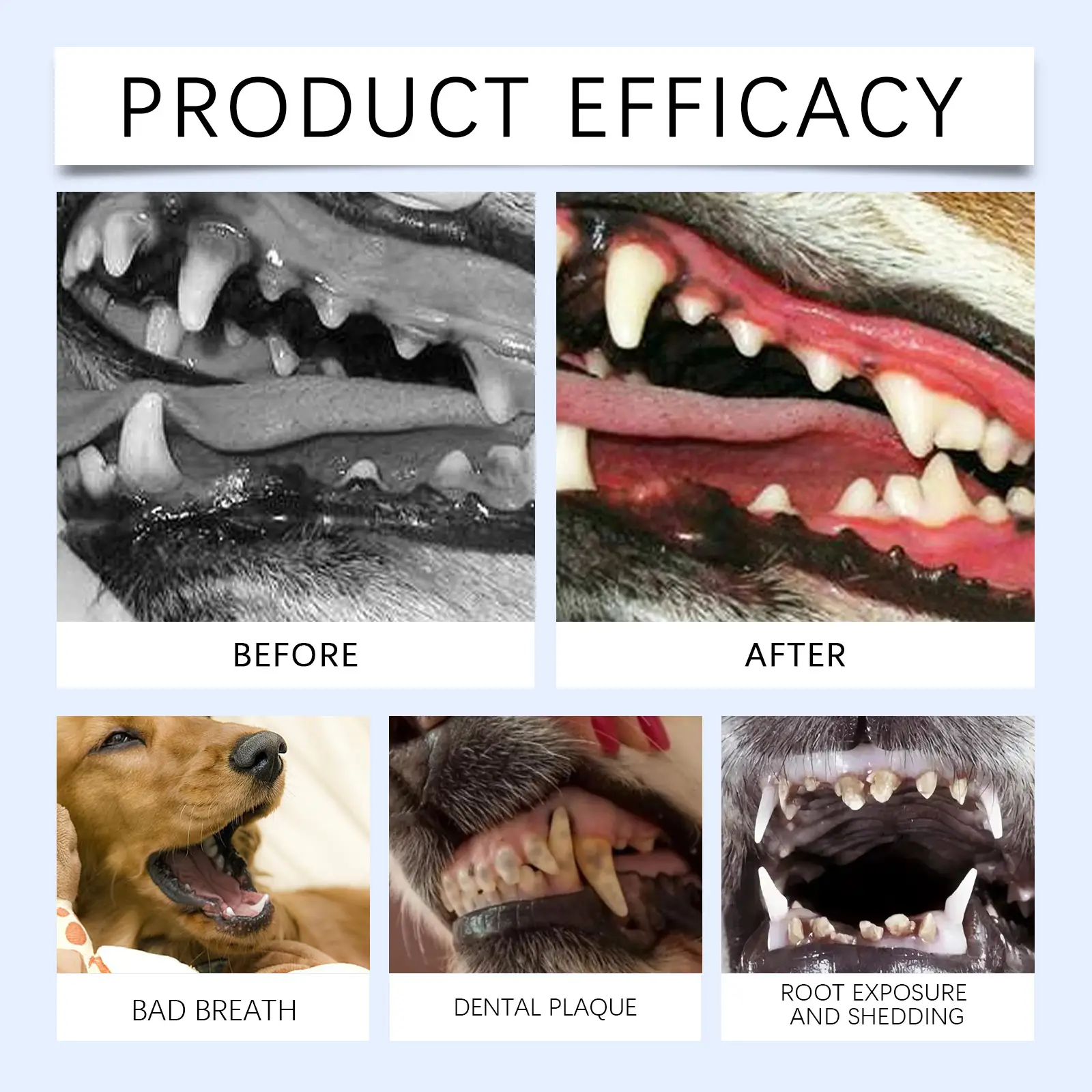 Cat And Dog Tooth Cleaning Powder