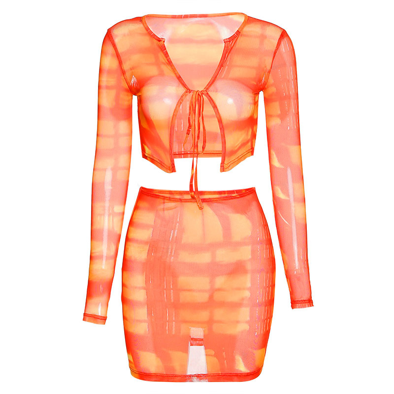 Autumn Women's Mesh Print T-shirt High Waist Bag Hip