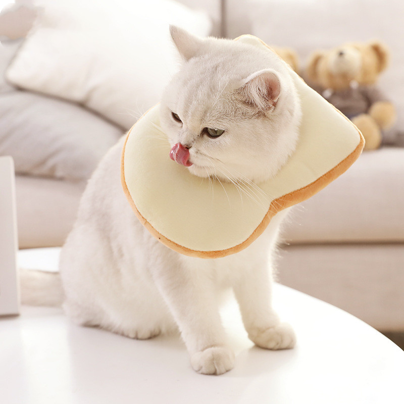 Title 2, Grappige Kitty Toast Headgear voor huisdieren. ...