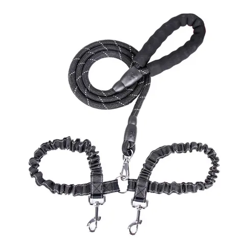 Dogs with One Tow Two Leashes Pets Double Heads